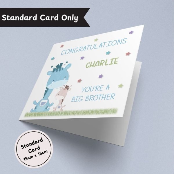 Big Brother Standard Card Only