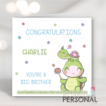 You're a big brother!