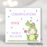 You're a big sister!