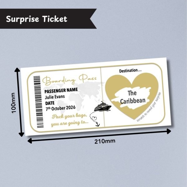 Cruise Boarding Pass Surprise Ticket Dimensions